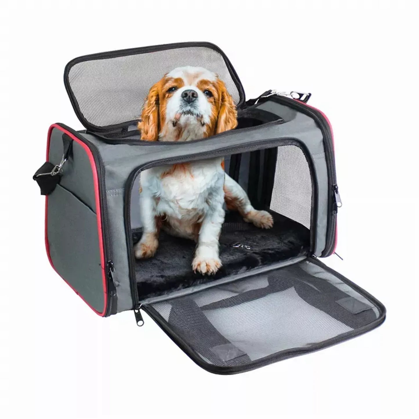 GOOPAWS Soft-Sided Pet Carrier for Small Dogs & Cats (Airline Approved)