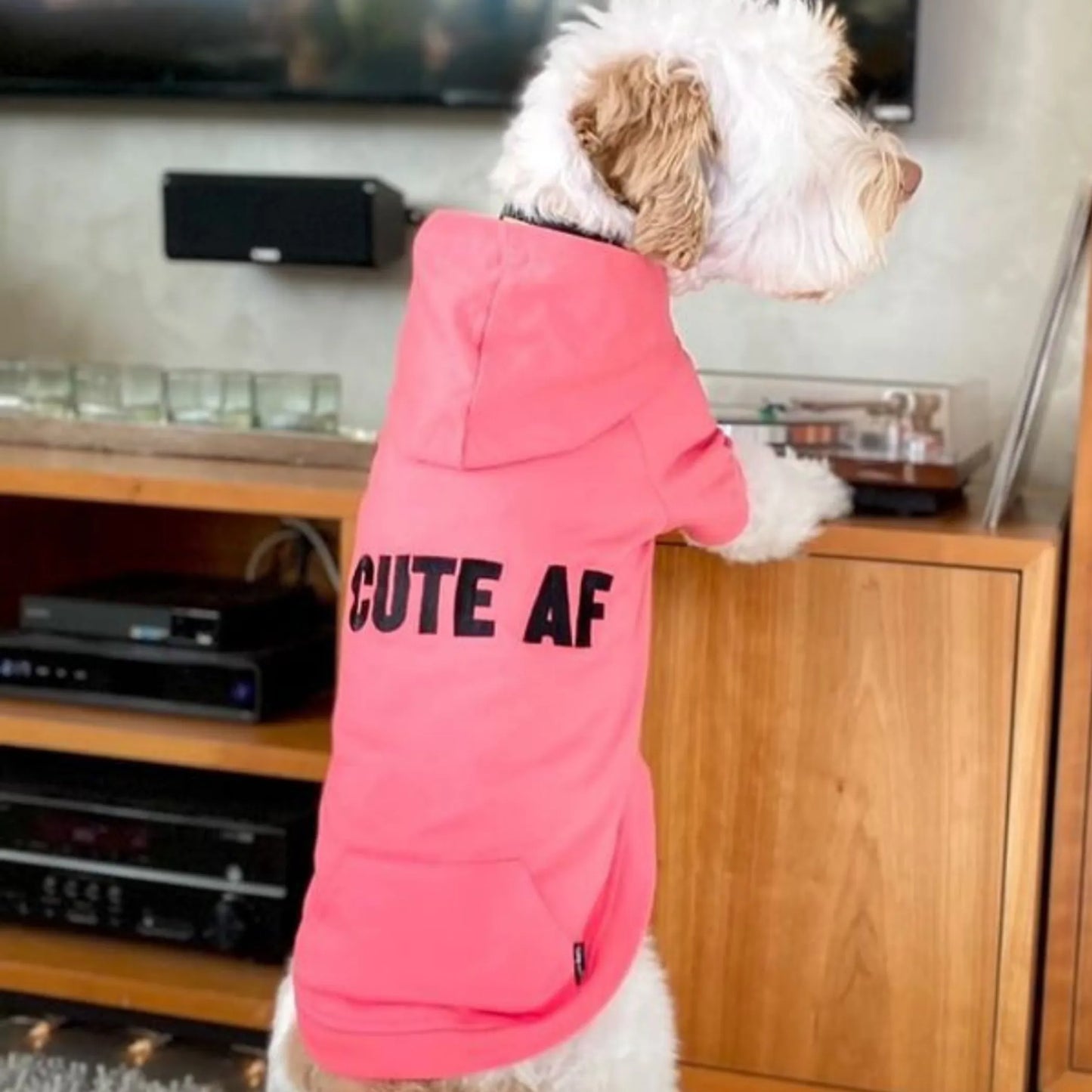 La sudadera con capucha para todos los días: MUY LINDA