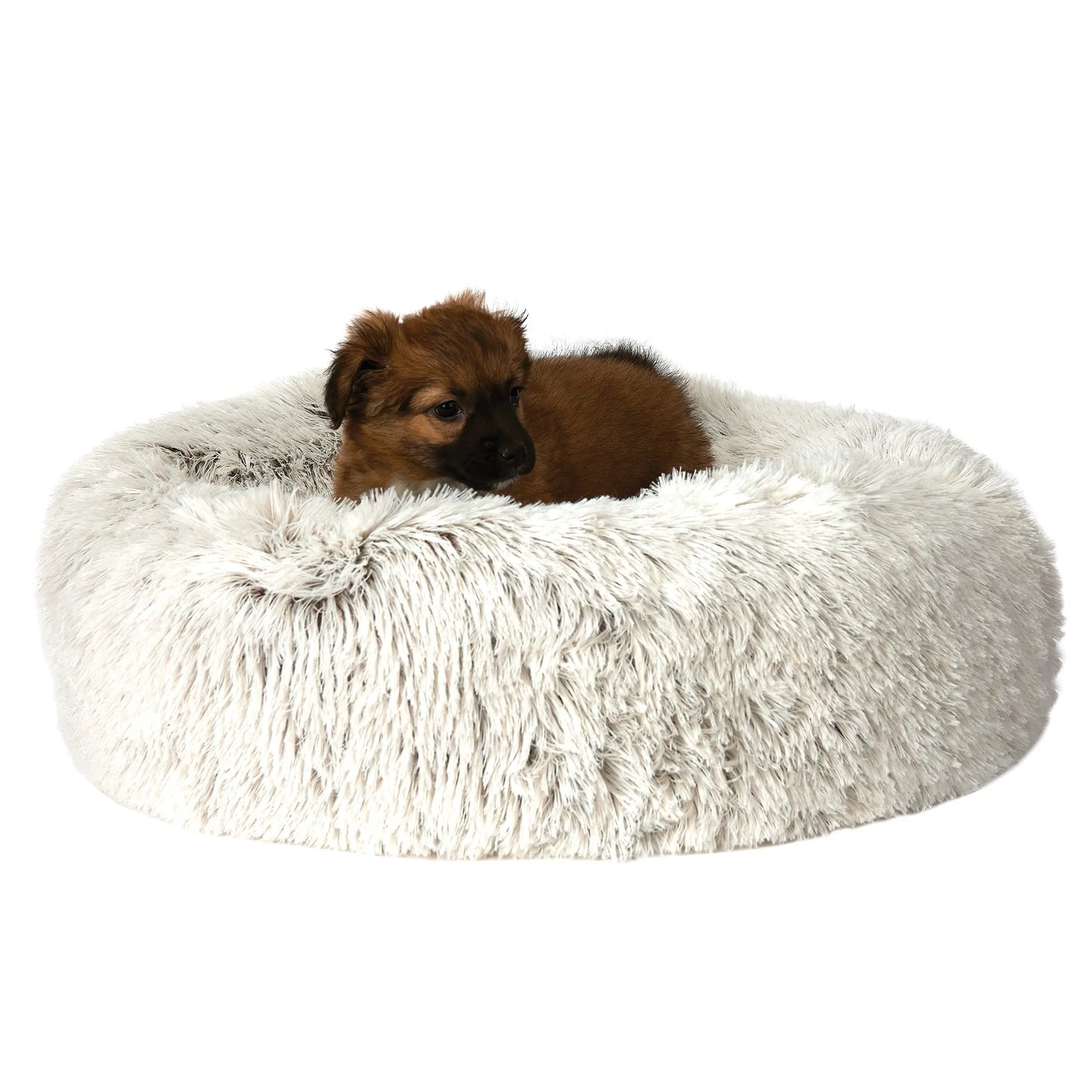 Cama de peluche SP Crm XS/S