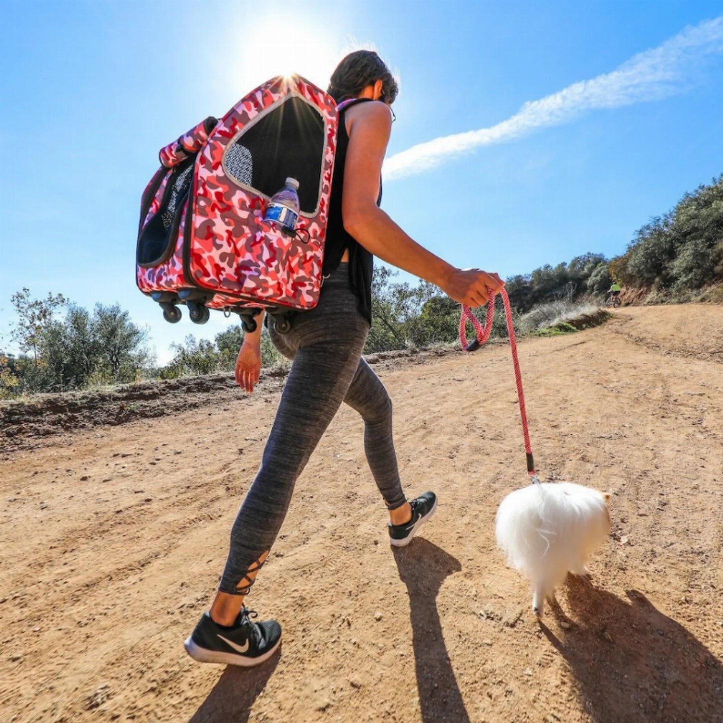 Petique 5-in-1 Pet Carrier