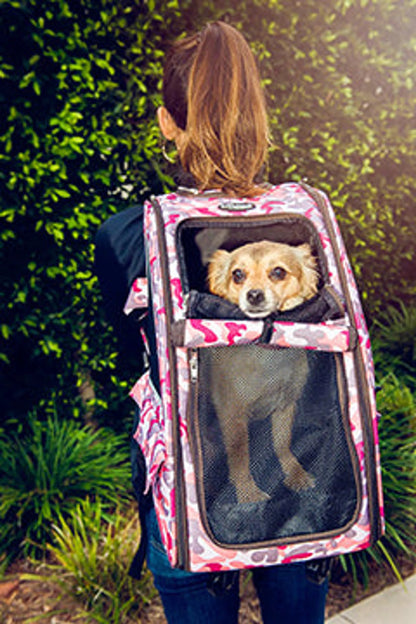 Petique 5-in-1 Pet Carrier